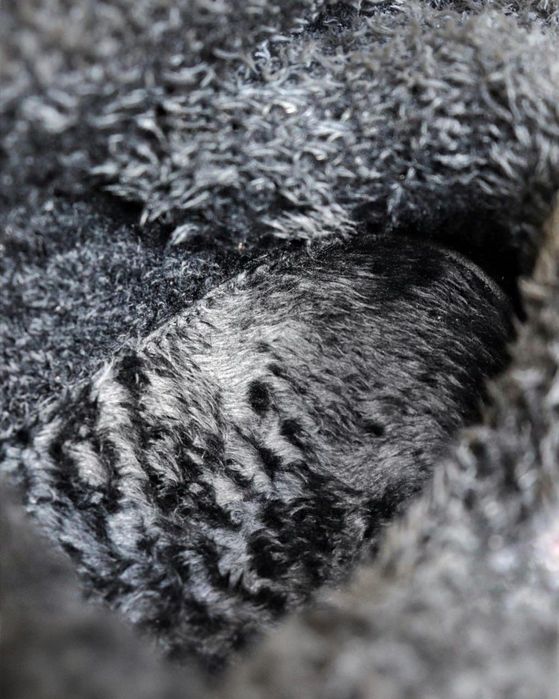 Чоловічі зимові хутряні кросівки Nike чорно-білі | кросівки найк