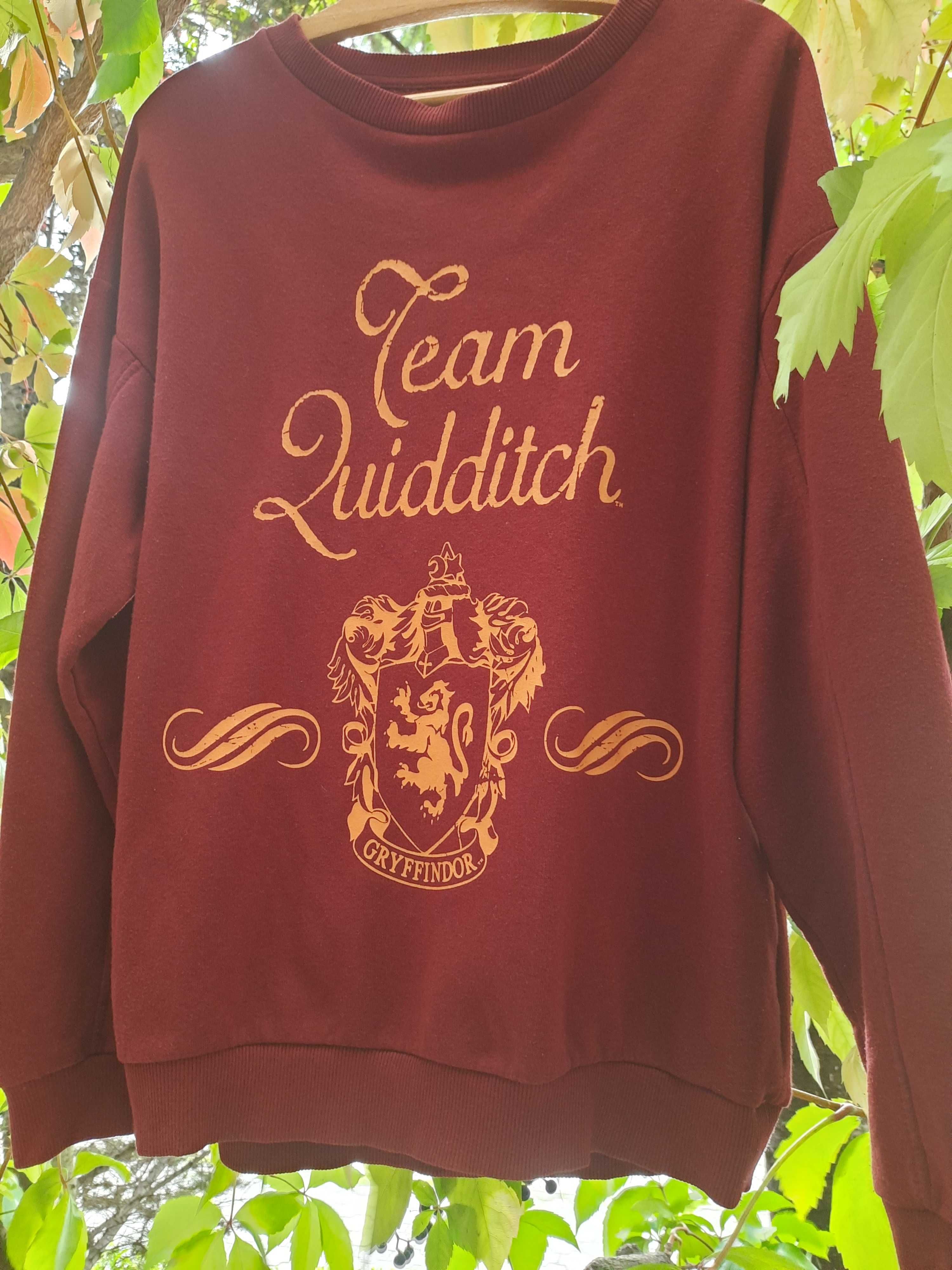 Bluza Harry Potter Team Quidditch Gryffindor