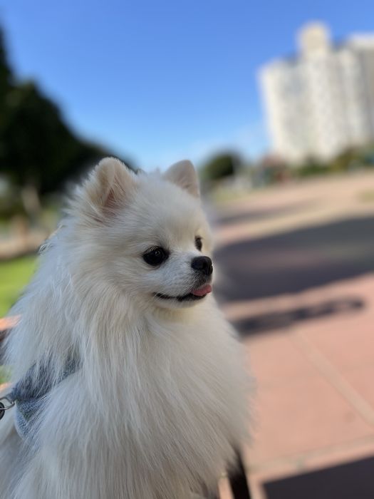 Хлопчик шукає дівчинку