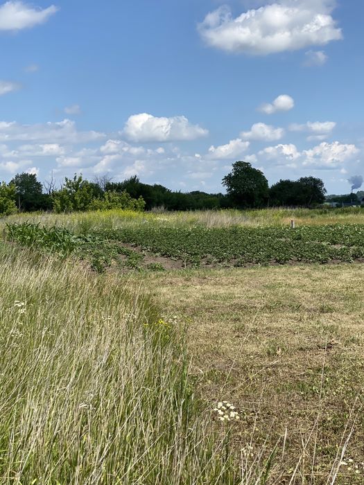 Ділянка 10 сот. м-н Полянський,  м. Обухів, м. Київ 30км.