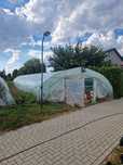 Namiot Tunel Foliowy Ogrodniczy Folion 6x25m