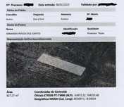 Venda de terrenos a eucaliptal