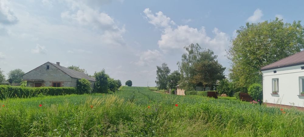 Dzialka 36arow Krzak Woj. Lubelskie gm. Nielisz