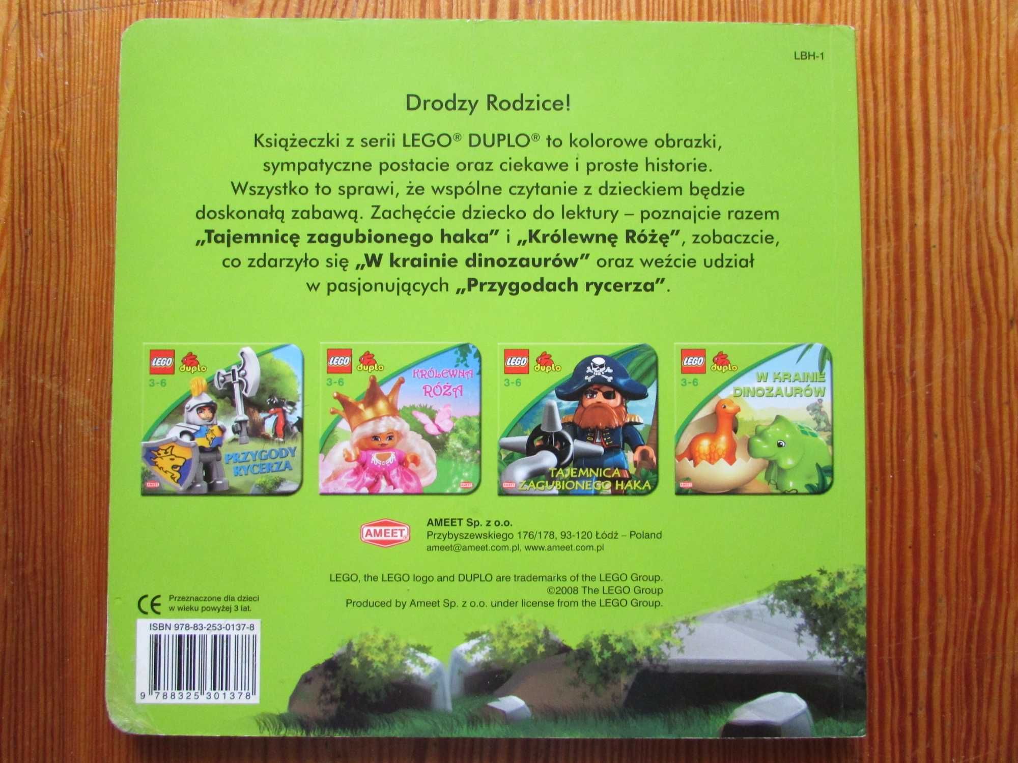 Pogodny rycerz  LEGO DUPLO