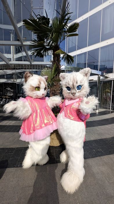 Ростовые куклы Аниматоры  экспресс поздравление выписка роддом