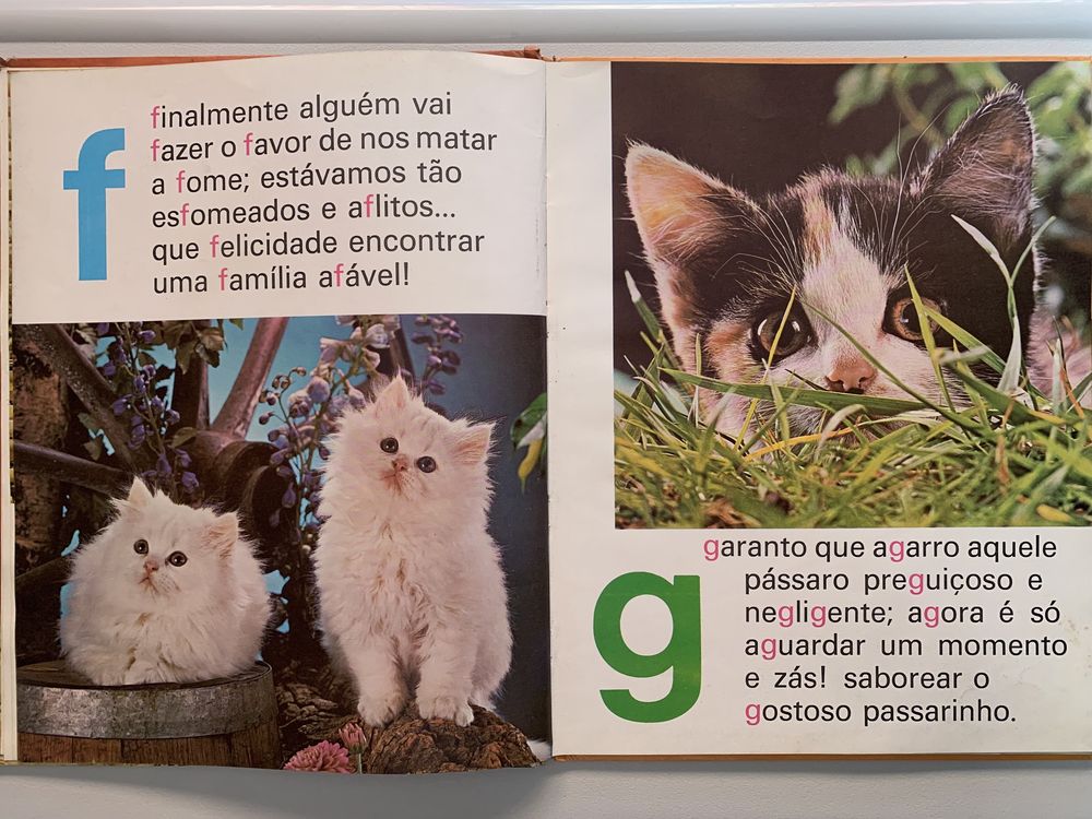 ABC dos Gatinhos