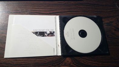 Saves the Day - Stay What You Are CD Digipak