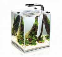 Aquael shrimp set 10 l zestaw akwarystyczny