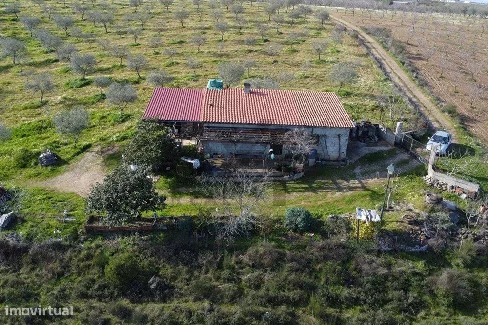 Encantadora Pequena Quinta à Venda nos Passos – O Refúgio Perfeito da