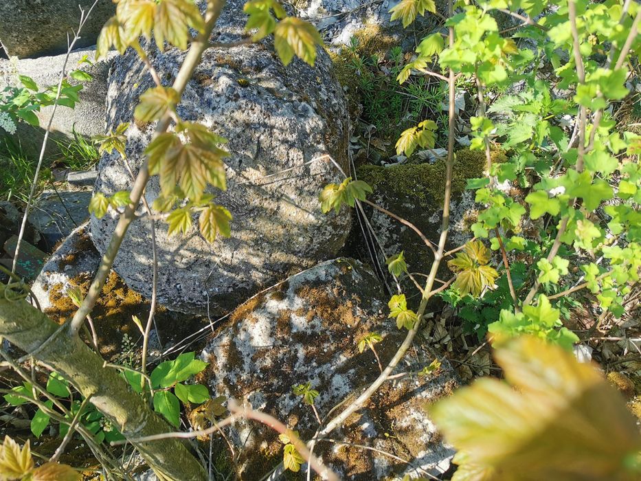 Oddam duży gruz.