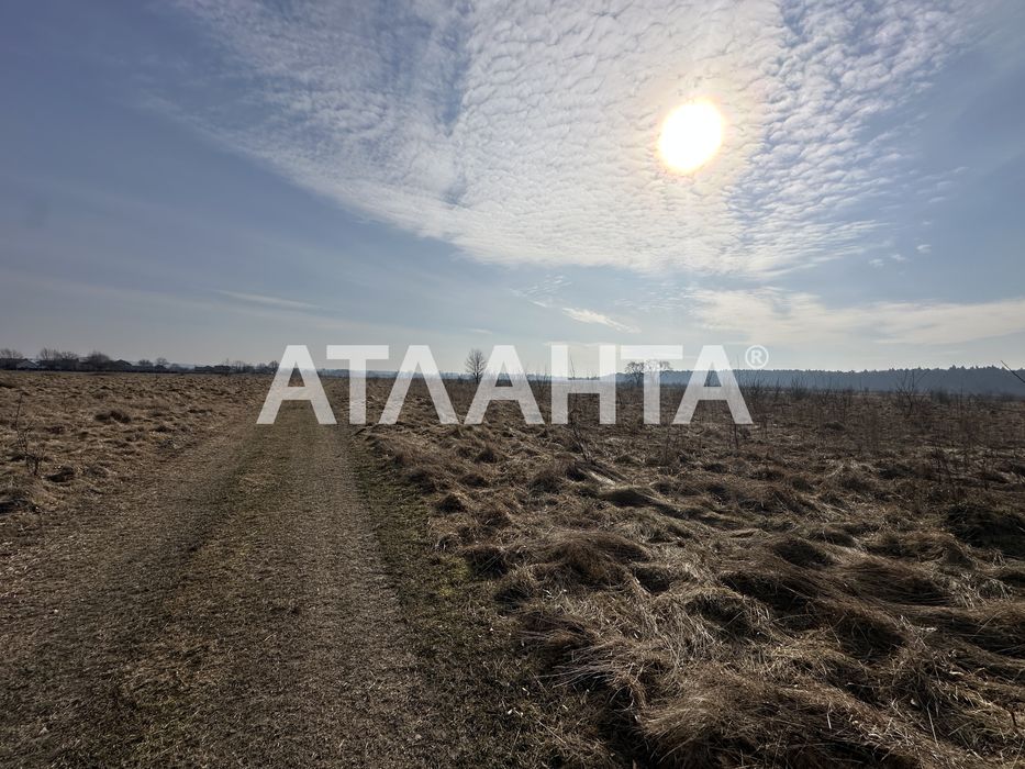 Продаж ділянки під забудову с.Ставчани