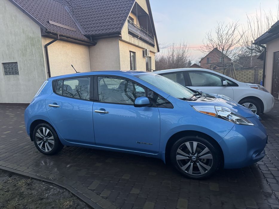 Двері Ліф , двері Nissan Leaf , дверь Leaf