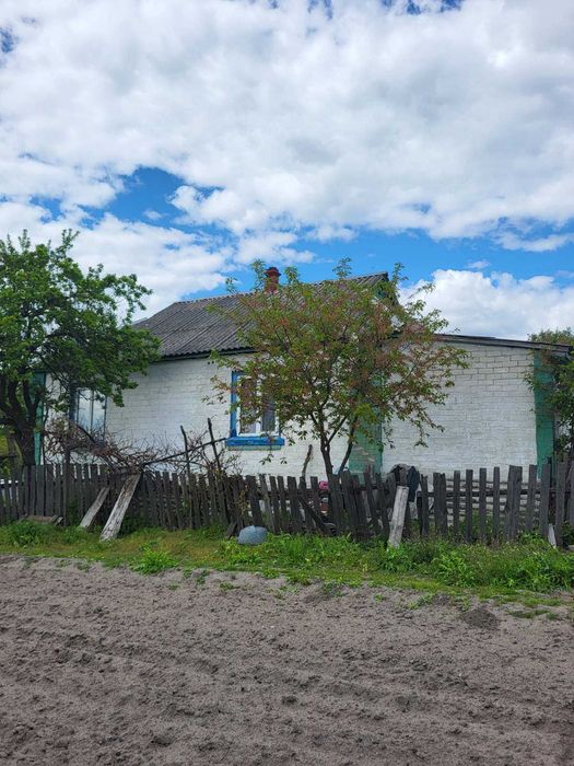 Продам будинок в селі Надинівка.
