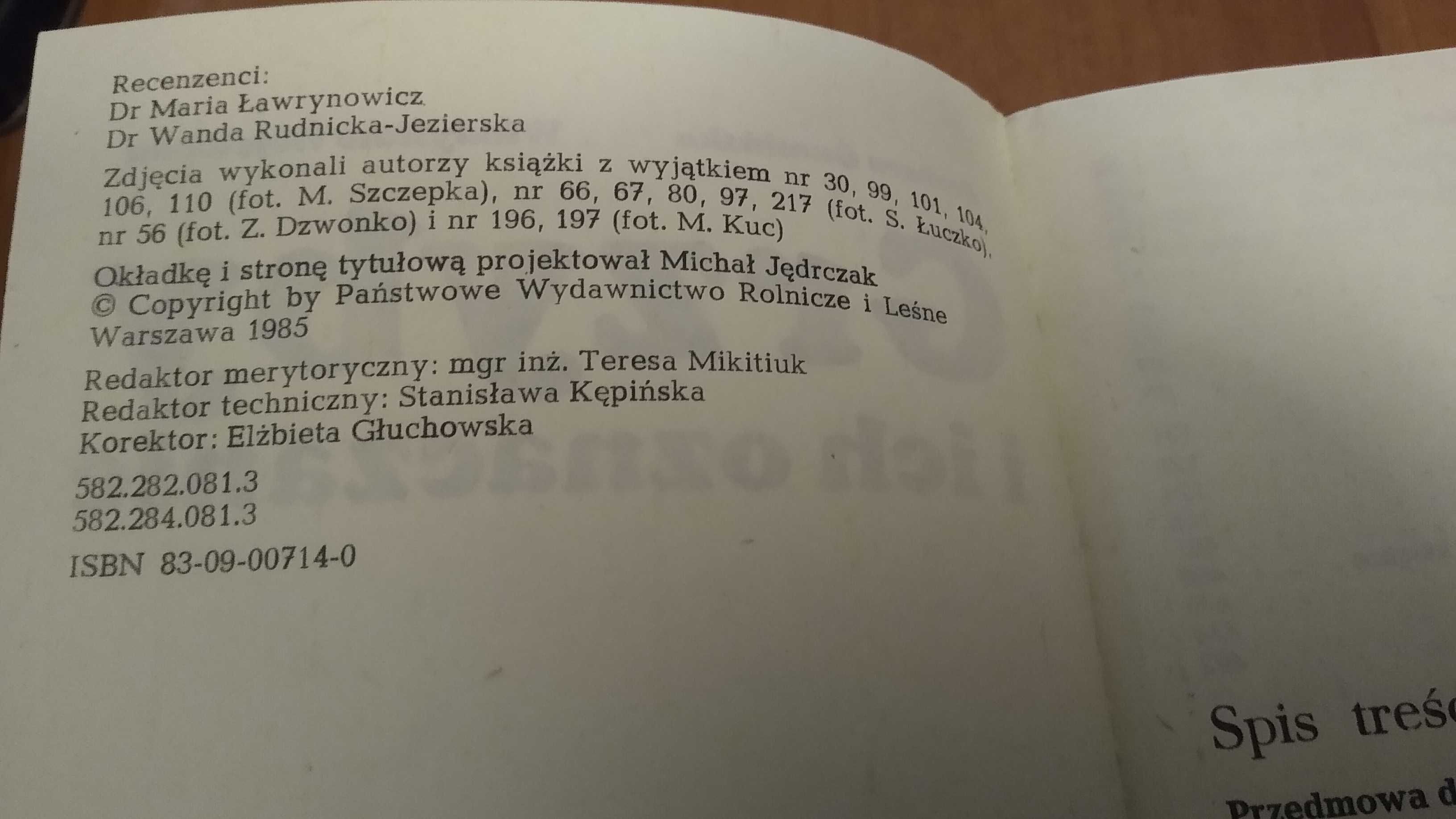 Grzyby i ich oznaczanie / Barbara Gumińska, Władysław Wojewoda