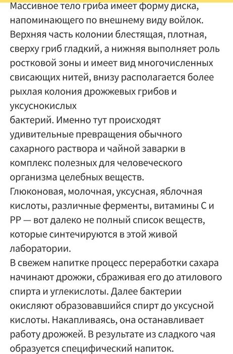 Чайный гриб зооглея медузомицет домашний квас комбуча