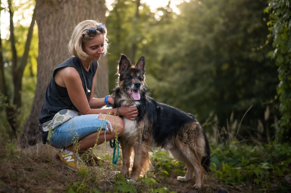 Nero piękny piesek szuka domku