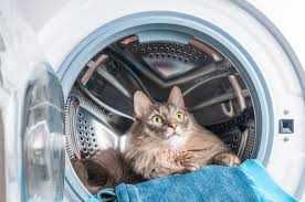 Naprawa Pralek Zmywarek Płyt Indukcyjnych Uszkodzonych Modułów