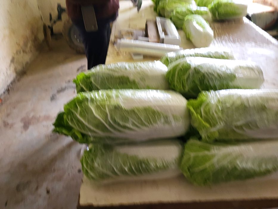 Ziemniaki młode 15 zł worek kapusta pekińska 4zl sztuka lub na kg