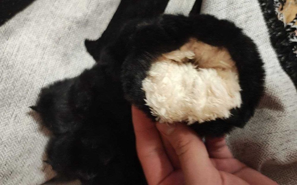 Рукавички котячі лапки сірі теплі зимові. Кошачьи лапки XL