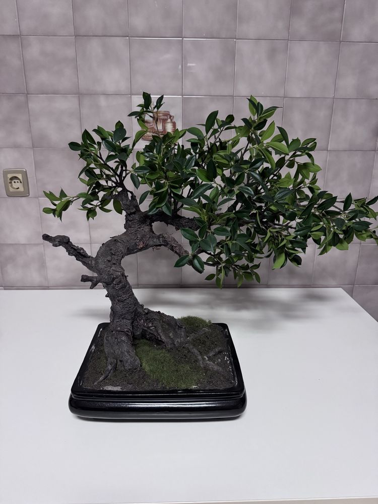 Bonsai Artificial