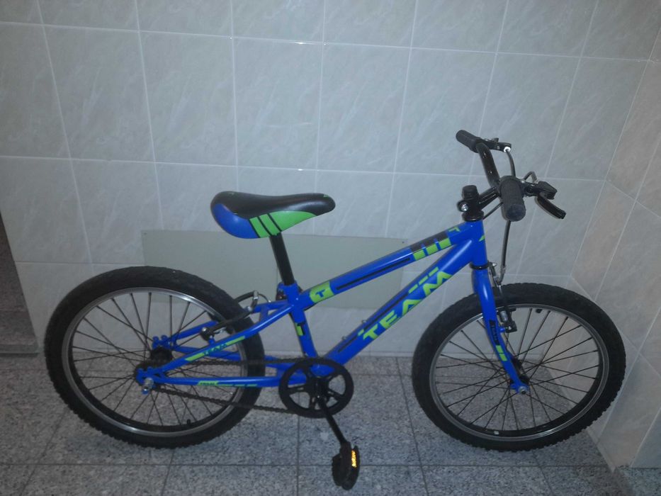 Bicicleta Junior TEAM