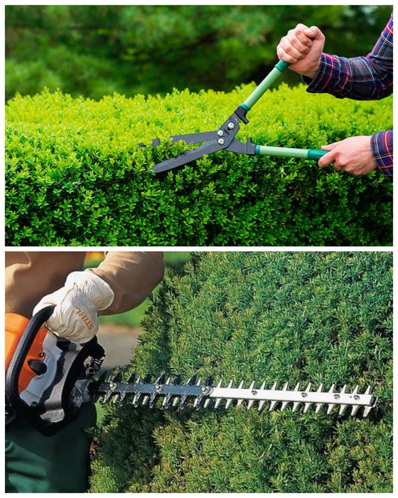 Послуги по обрізці кущів, покос газону великих площ