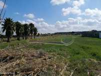 Terreno em Marinhais (M703)