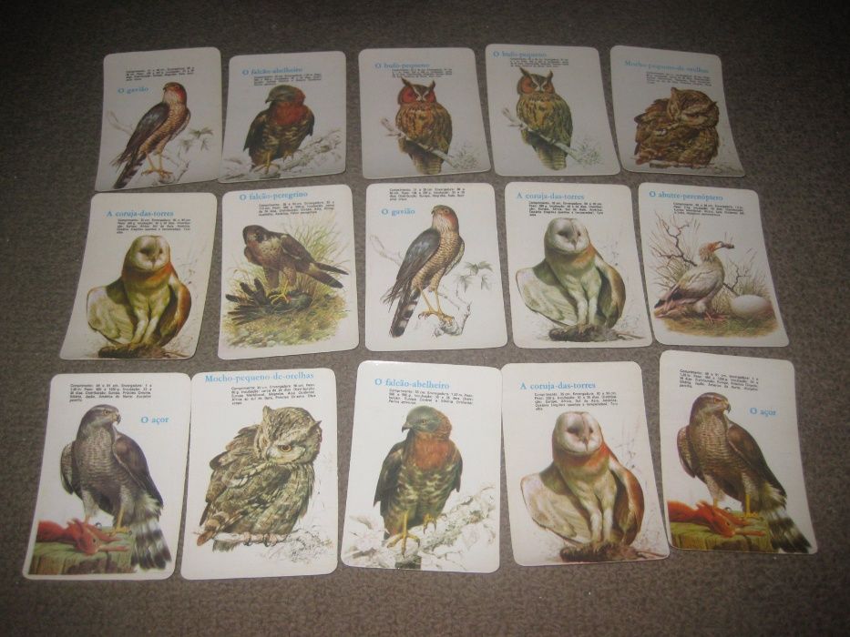 15 Calendários de "Pássaros" Impecáveis!