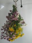 Bukiet naturalny z ziół,gałązki wysyłka
