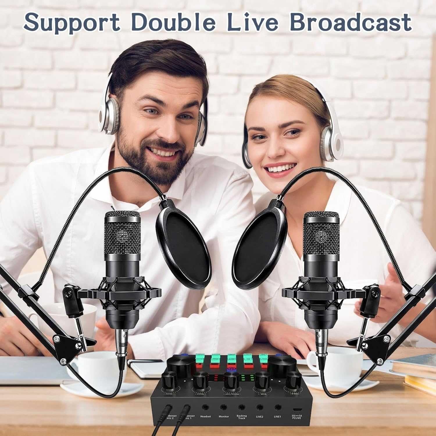Podcast mikrofon do 2, ALPOWL Audio Interface BM800