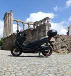 Honda forza 125 special edition