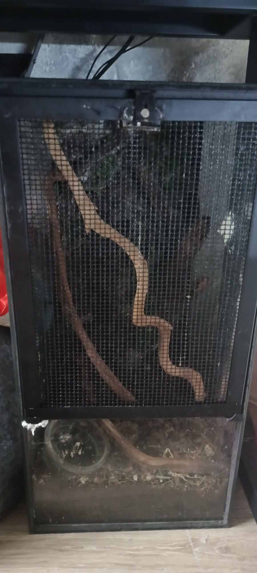 Terarium dla gekona etc.