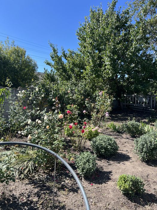 Продам хороший цегляний будинок в місті Узин