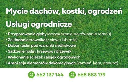 Czyszczenie działek karczowanie wycinka zakładanie trawnika ogrody