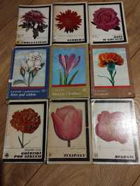 9x książki o kwiatach Narcyzy Róże Tulipany Begonie