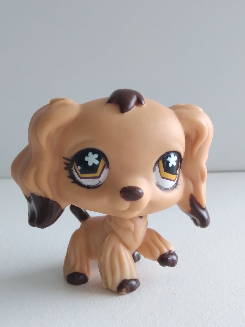 Littlest Pet Shop piesek cocker spaniel 575