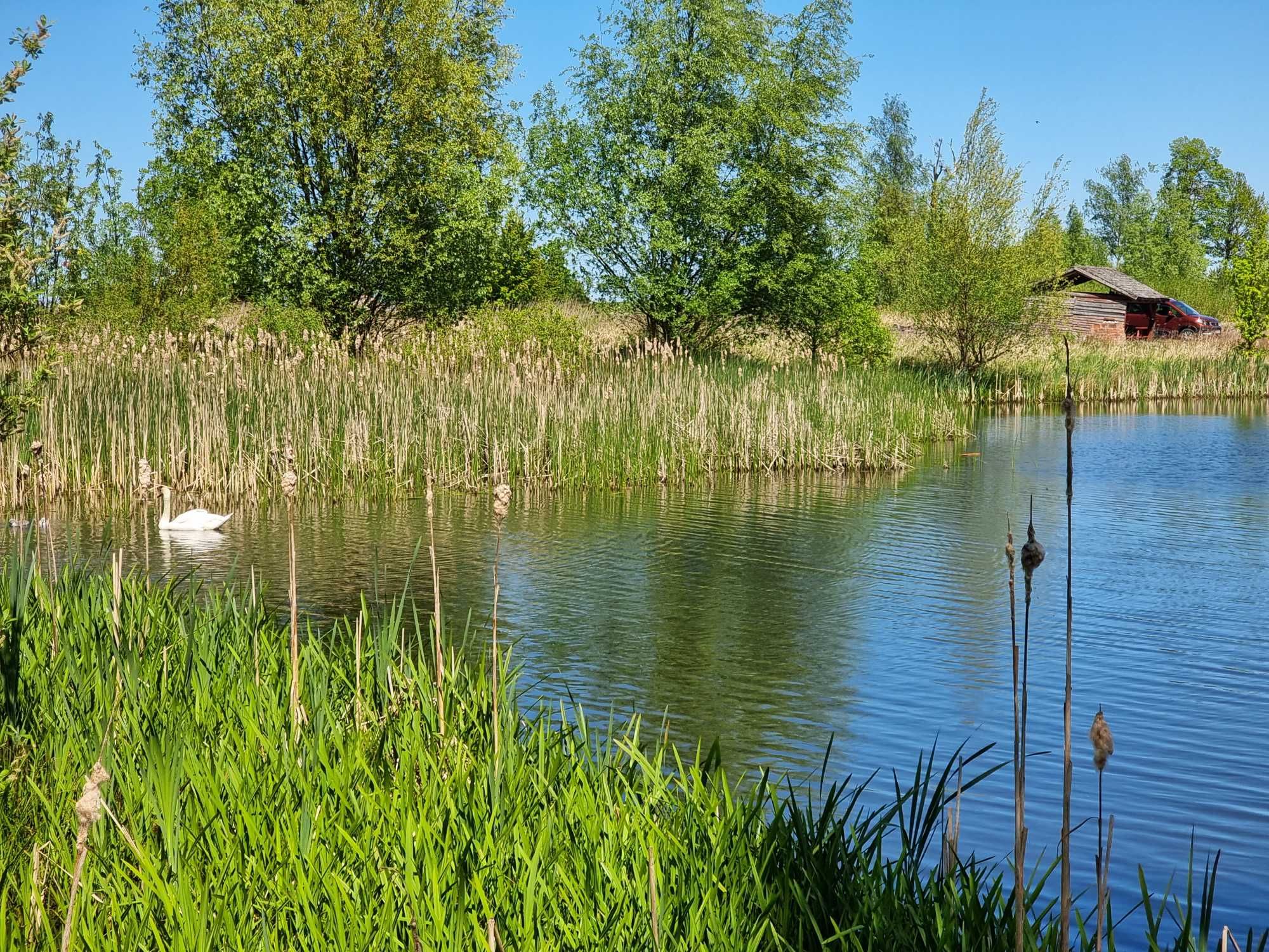 Działka 6,1 ha - prywatne jezioro Ulkowy.