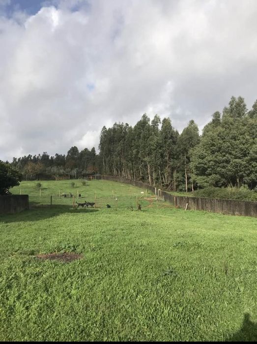 Linda Quinta , Terreno