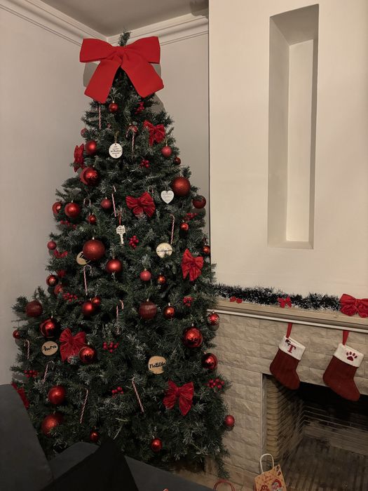 Árvore de Natal 2,50m