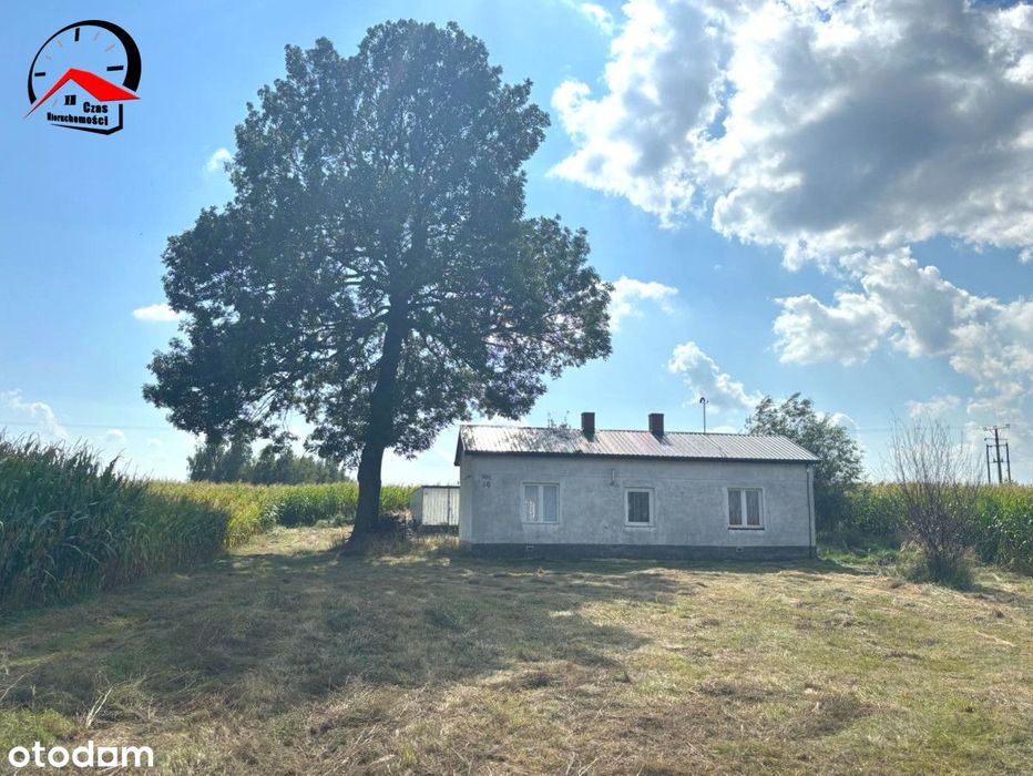 Mały domek koło Babiaka w Poloniszu