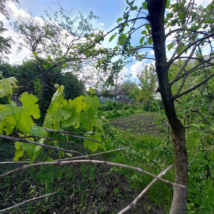 Продається будинок в м. Звягель р-н ринок Урожай