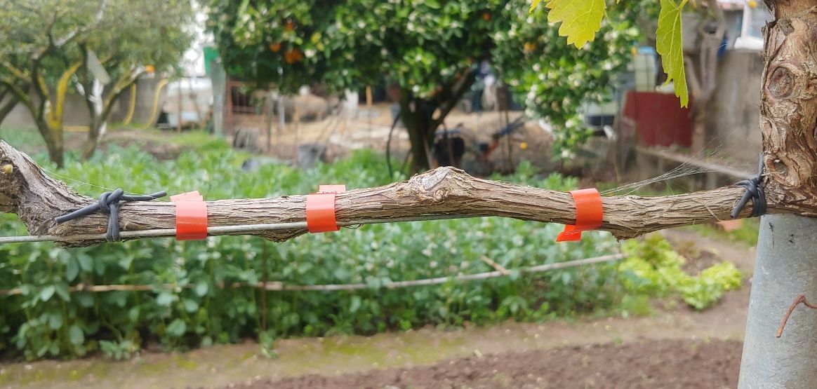 Máquina atar (agricultura)