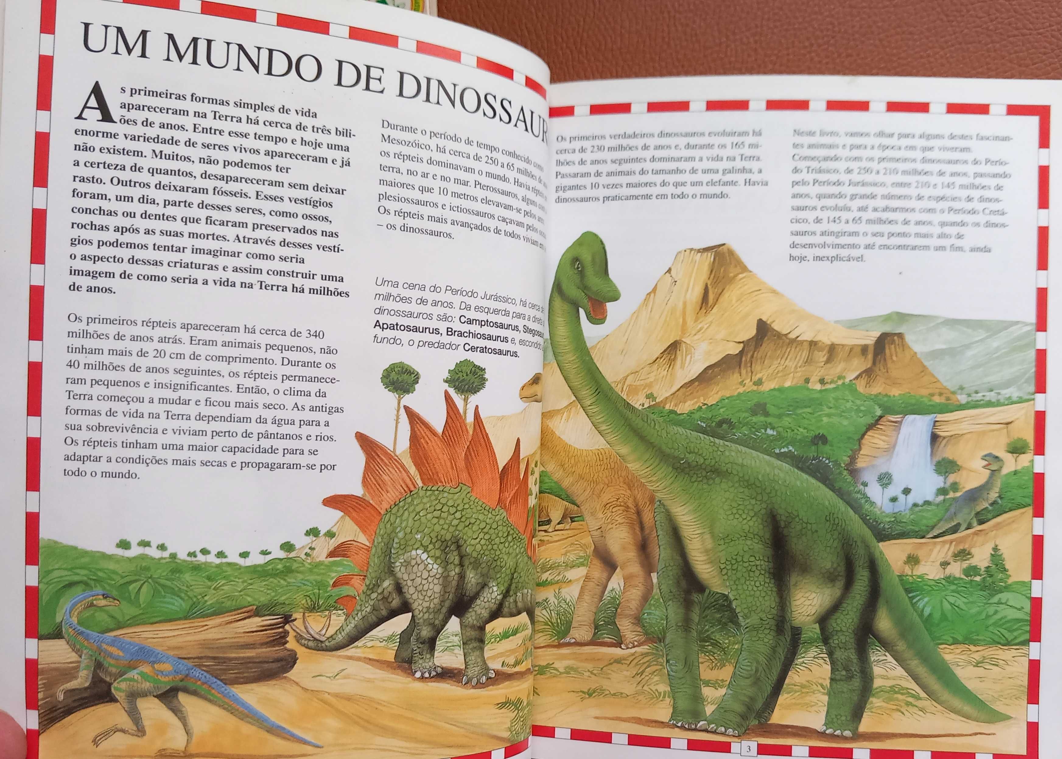 O Maravilhoso Mundo dos Dinossauros - portes incluídos