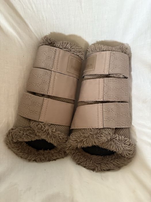 Ochraniacze eskadron L