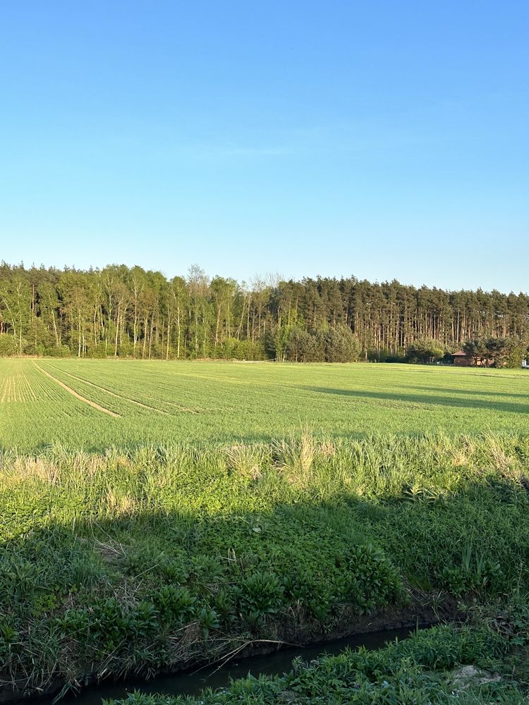 Działka budowlana dla miłośników natury