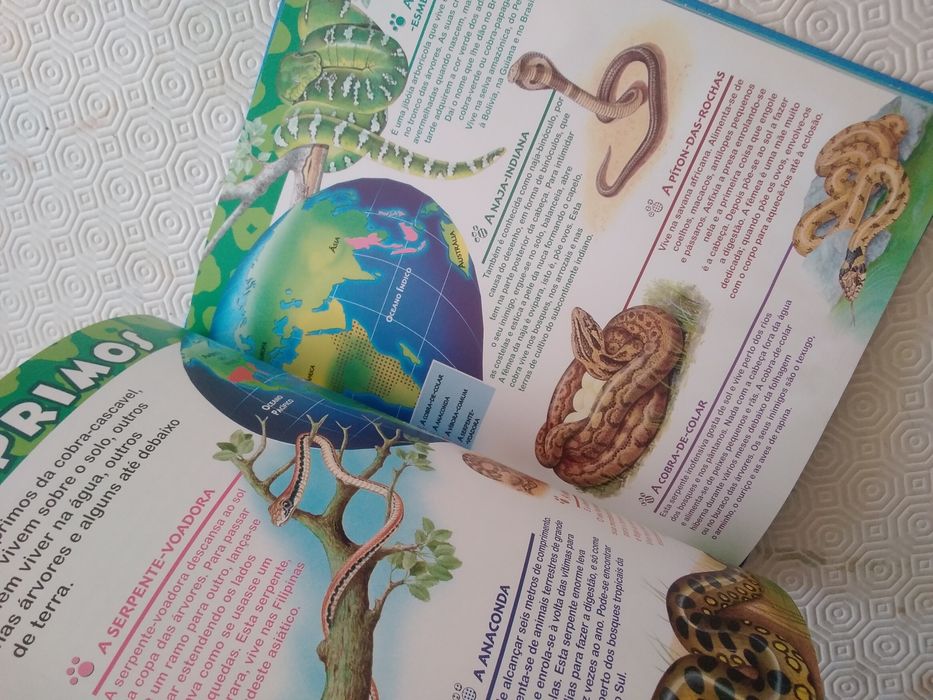 Livro Mundo maravilhoso dos Animais Disney As Cobras