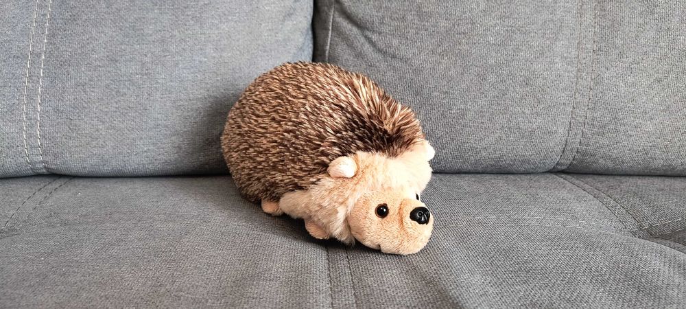 Jeż maskotka biedronka