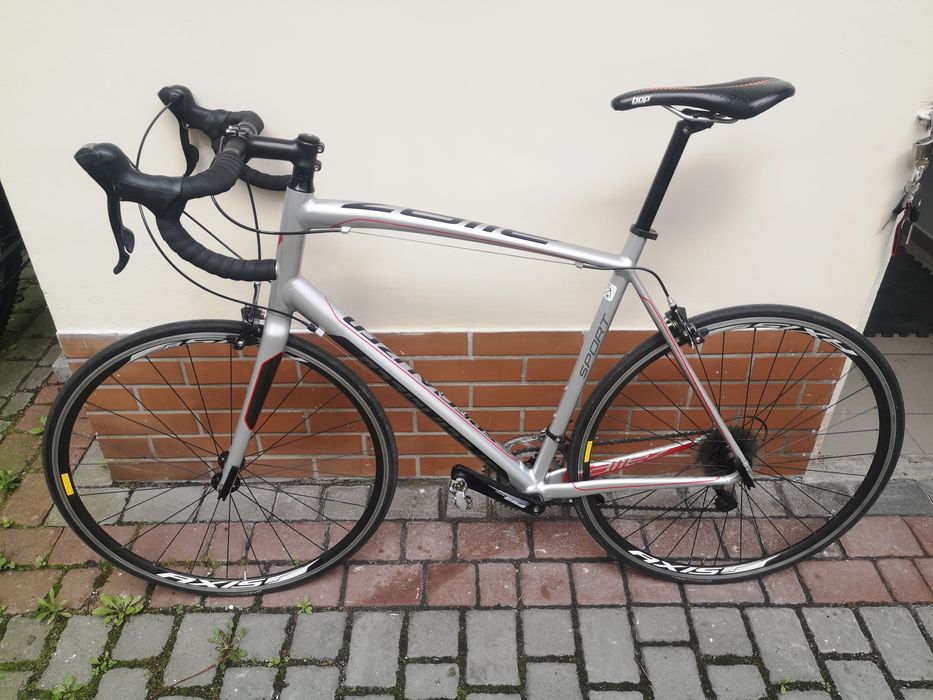 Specialized allez XXL