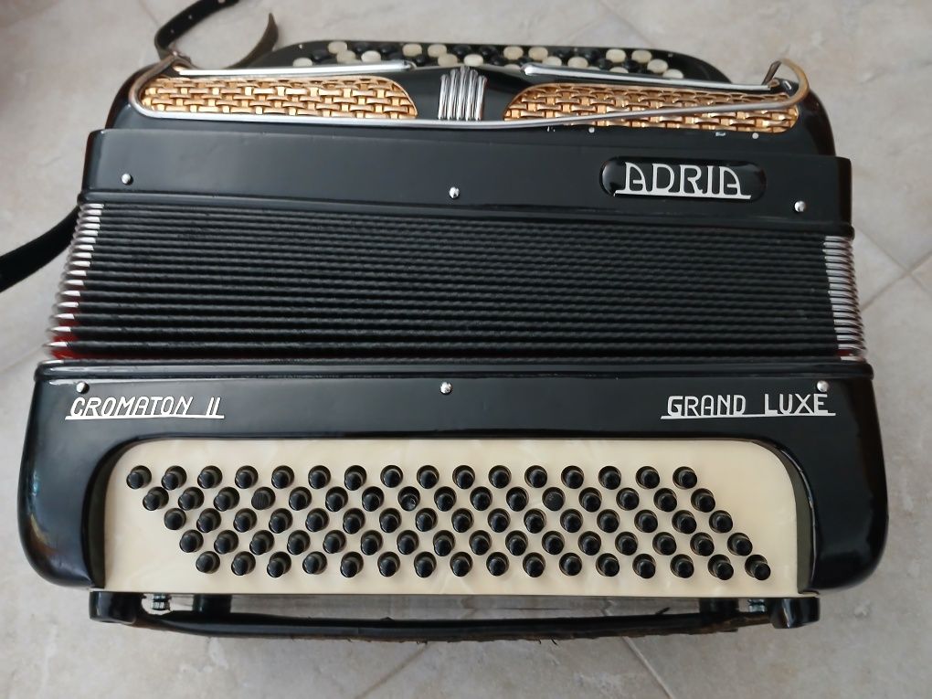 Acordeon bom estado