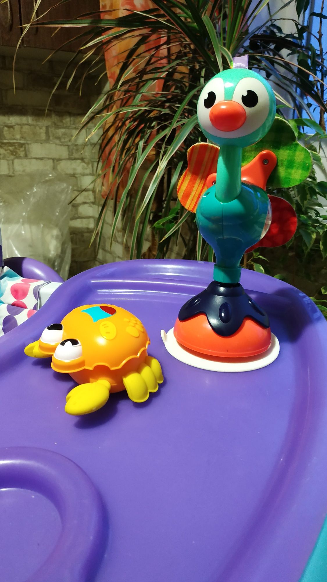 Брязкальце на присосці Hola Toys Павлін, павлин
